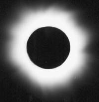 1gniazdo.jpg (5960 bytes)