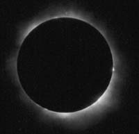 1lose.jpg (5436 bytes)