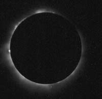 2lose.jpg (5317 bytes)