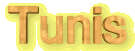 tunistyt.gif (1751 bytes)